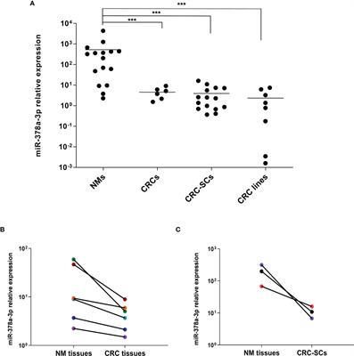 MiR-378a-3p Acts as a Tumor Suppressor in Colorectal Cancer Stem-Like Cells and Affects the Expression of MALAT1 and NEAT1 lncRNAs